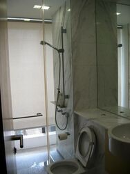 Newton Suites (D11), Apartment #396017171